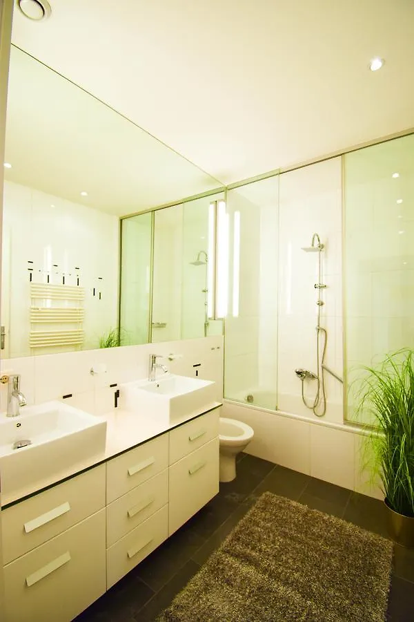 Exclusive Apartment Michaelerplatz Wien